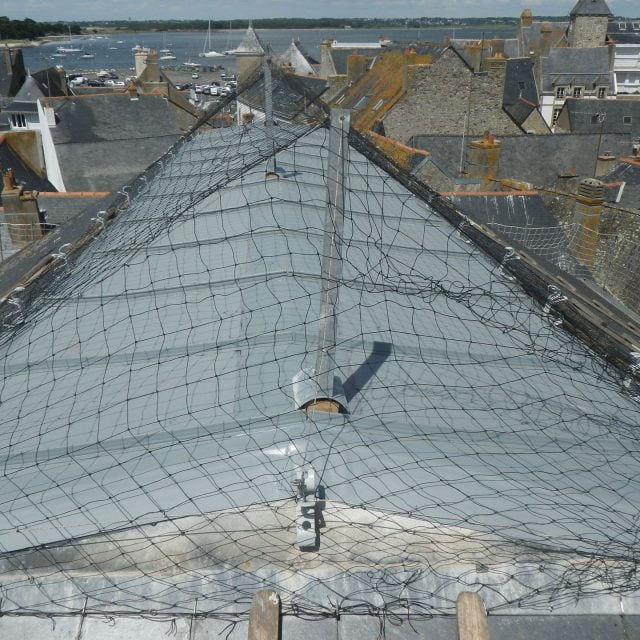 realisations autres competences filet anti volatiles julien toitures couvreur zingueur guerande saint nazaire rennes 2 - Julien Toitures Réalisations Autres Compétences / Filet anti-volatiles